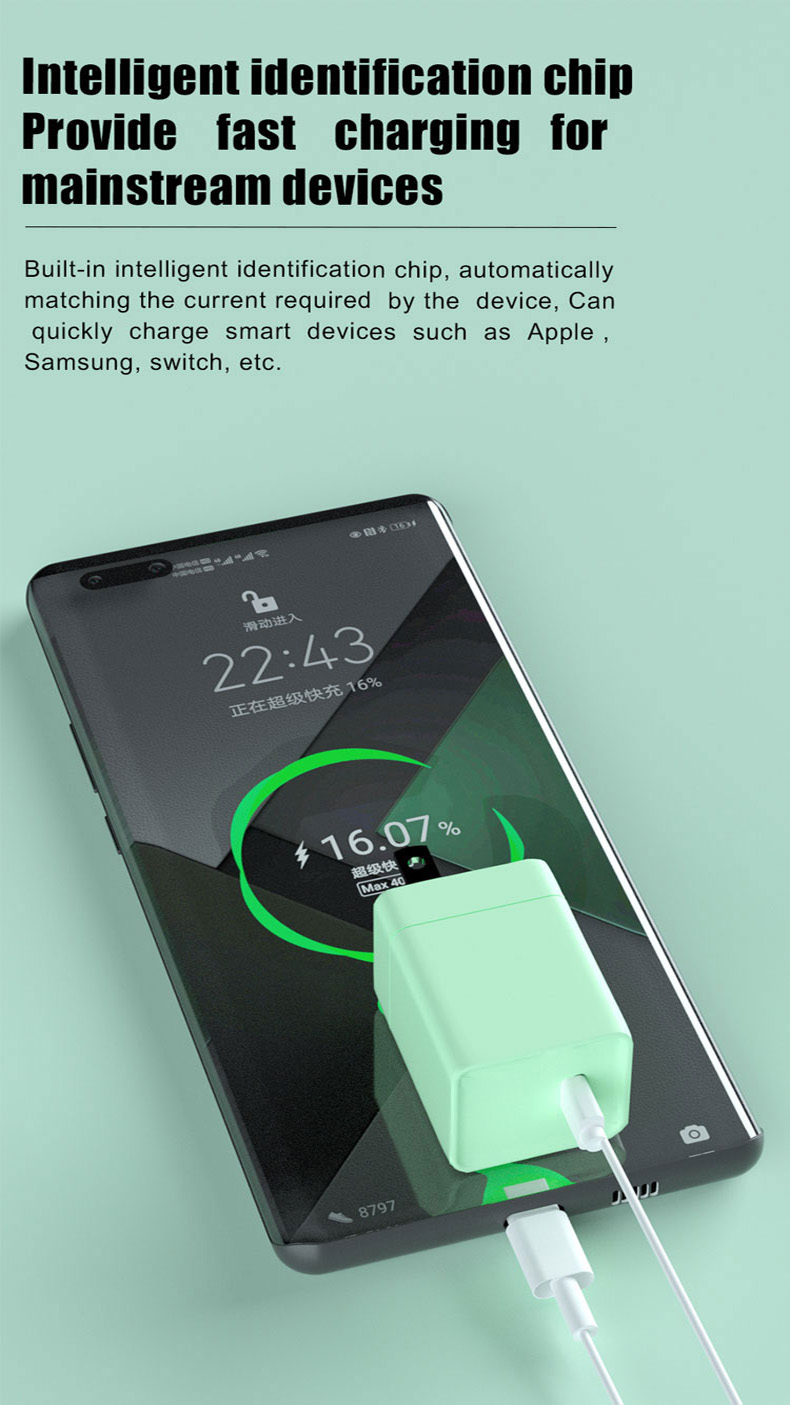 Gan Charger 393