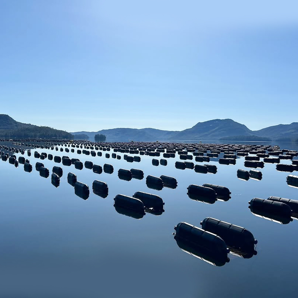 Blow-Molded Oyster Aquaculture Air Cylinder Float