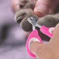 Pet Dog Nail Clipper Scissors Pet Cat Nail Trimmer Toe Claw Clippers Scissors Trimmer Grooming Tools for Pet Supplies