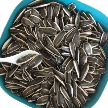 HOT SALE!!! The Top Quality Sunflower Seeds