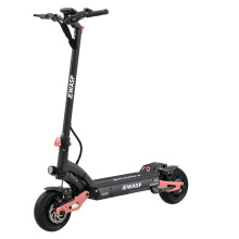 10inch 2 Wheels Fat tire 52V Electric scooter