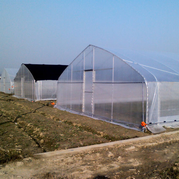 Skyplant Plastic Film Vegetables Greenhouse Greenhouse