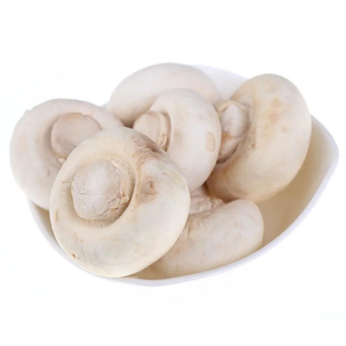 White Button Mushroom Extract Agaricus Bisporus powder for Sale, Offer White Button Mushroom Extract Agaricus Bisporus powder