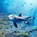 Papel De Parede 3D Floor Mural Custom Dolphin Underwater World Wallpaper For Kids Room Bathroom Wear Non-slip Waterproof Sticker