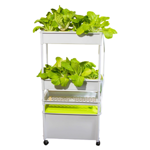 Skyplant NFTMini Garden Vertical Hydroponic System