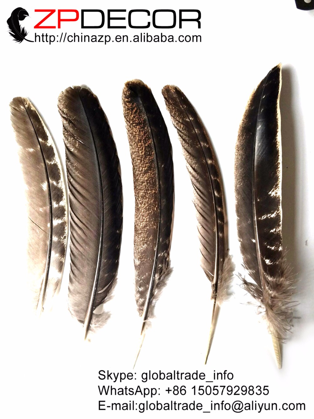 ZPDECOR 20-25cm(8-10inch) 50pieces/lot Selected Prime Quality Natural Beautiful Wild Turkey Wing Feather for DIY and Carnival