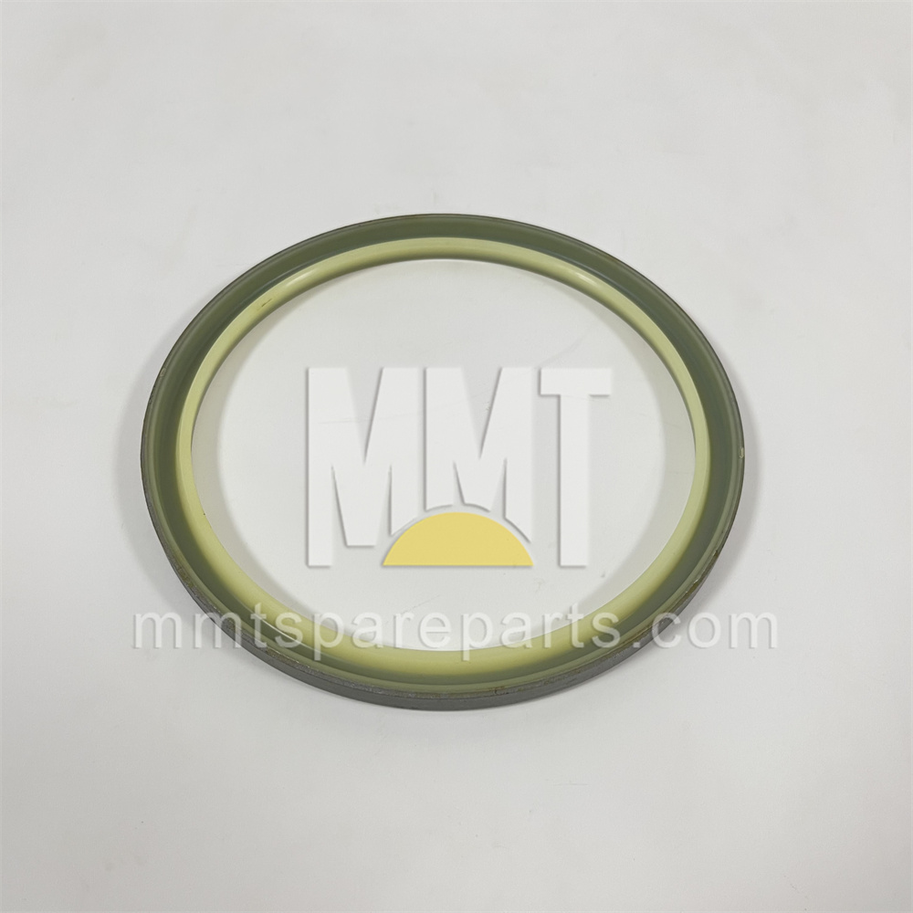Steel Faced Rubber Dust Lip Type Sea 9x-4599