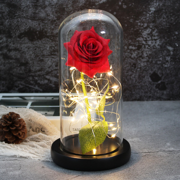 Beautiful eternal rose, LED Eternelle light, the beauty and the Beast, rose in crystal dome for mother's birthday, gift for