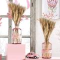 100Pcs Wheat Ear Flower Natural Dried Flowers for Wedding Party Decoration DIY Craft Scrapbook Home Decor Wheat Bouquet JP02