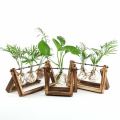 DIY Home Office Wedding Decor Creative Wooden Stand Glass Terrarium Container Hydroponics Planter Flower Pot Tabletop Vase