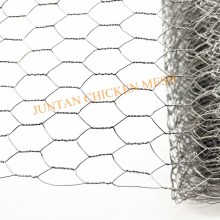Galvanized hexagonal wire mesh for fish trap