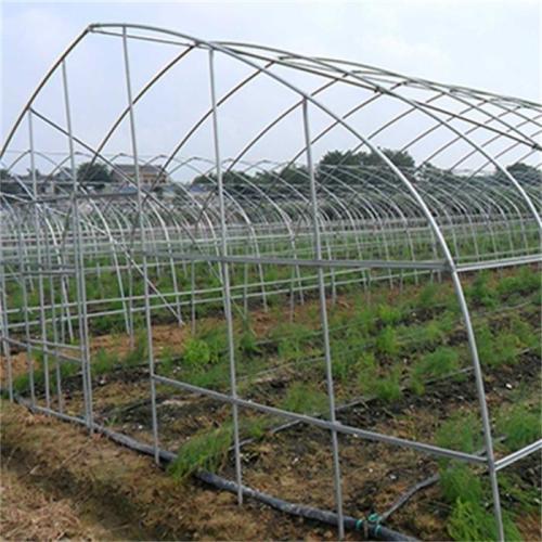 Agriculture Single Tunnel Plastic Film Greenhouse Manufacturers and Agriculture Single Tunnel Plastic Film Greenhouse Suppliers