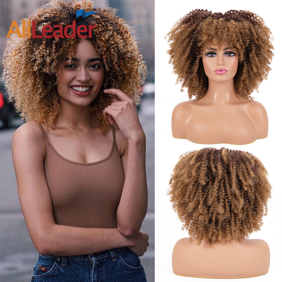 Afro Curly Wig 2