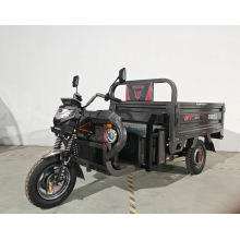 Upgrade Security Two-light Electric Tricycle