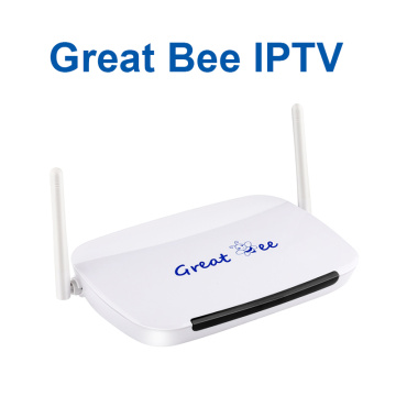 2020 Latest Great Bee TV Box Android Set Top Box With WiFi Bluetooth Support IPTV YouTube Google Play