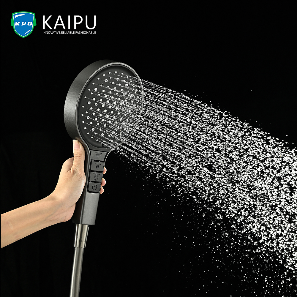 HANDHELD SHOWER (4)