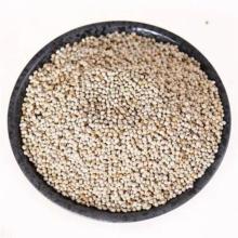 Perilla Seed Powder high quality