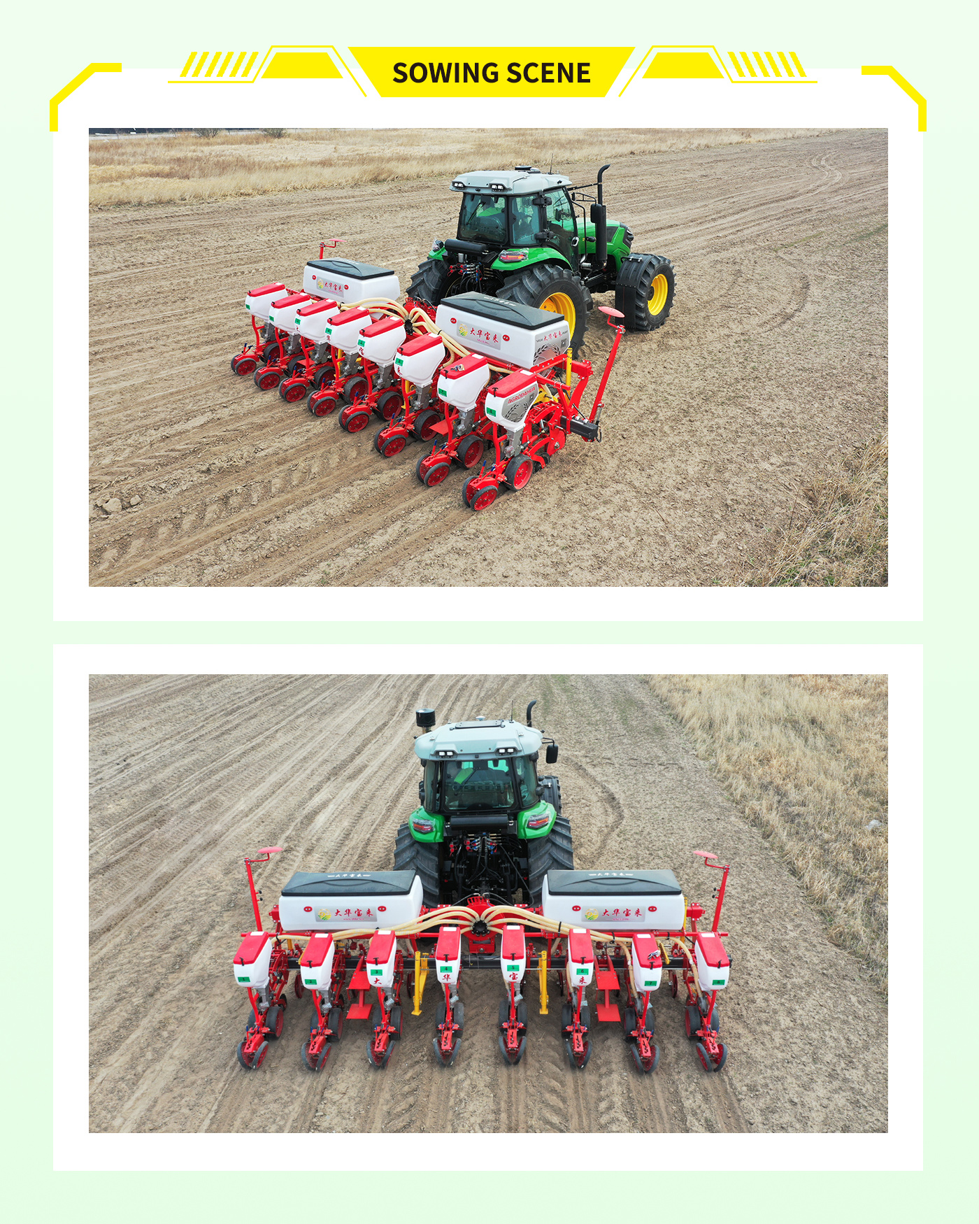 High single - seed rate