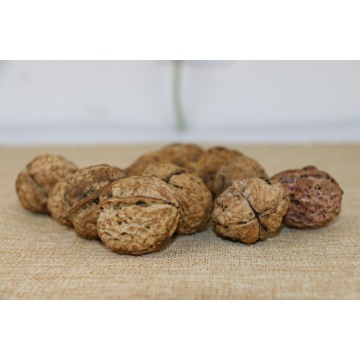 Eco-Friendly Unwashed Walnuts in Bulk Shell