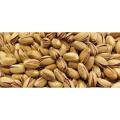 Turkish high quality pistachios 200-900Grams Free Shipping