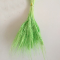 100pcs green color