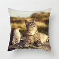 Fuwatacchi Cute Cat Printing Cushion Cover Animal Series Cushion Covers For Sofa Throw Pillow Car Chair Decorative Pillow Case