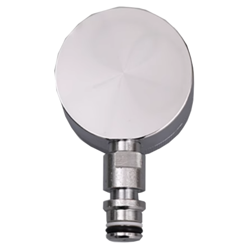 Double Needle Pressure Gauge