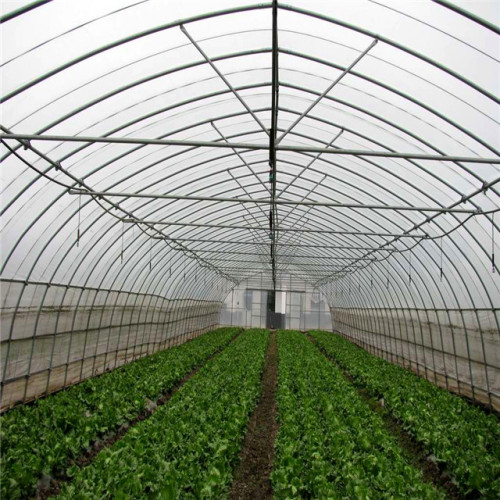 Fixed poly tunnel seed greenhouse for vegetable Manufacturers and Fixed poly tunnel seed greenhouse for vegetable Suppliers