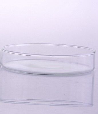 75mm Glass Reusable Tissue Petri culture dish Plate with cover For Chemistry Laboratory