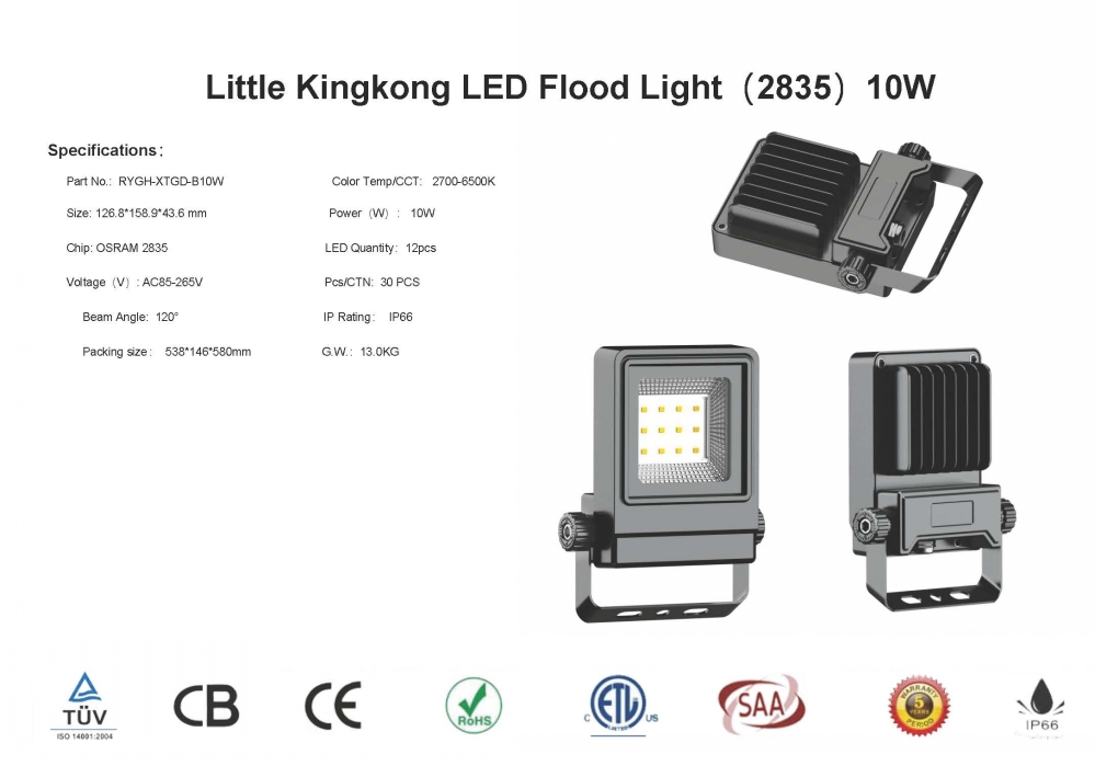 led flood light specifications-RYGH-20211
