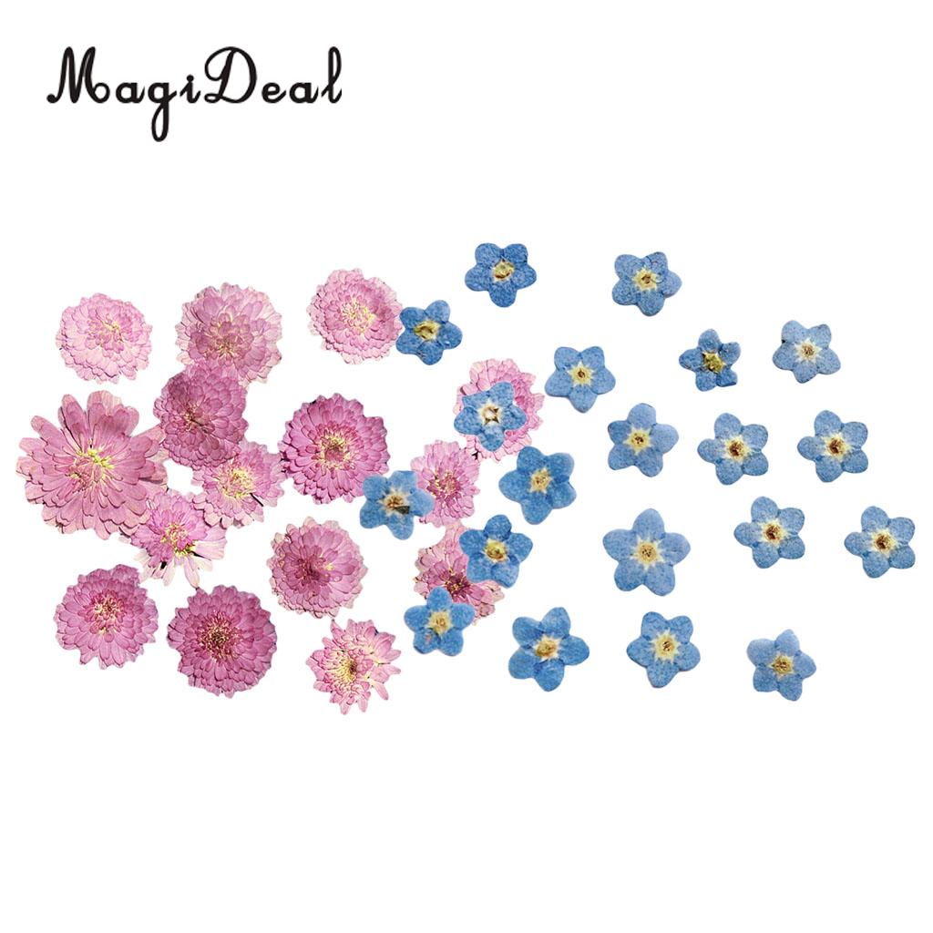 MagiDeal 20Pcs Pressed Dried Flower Dry Leaves For DIY Crafts Bookmark Cards Making