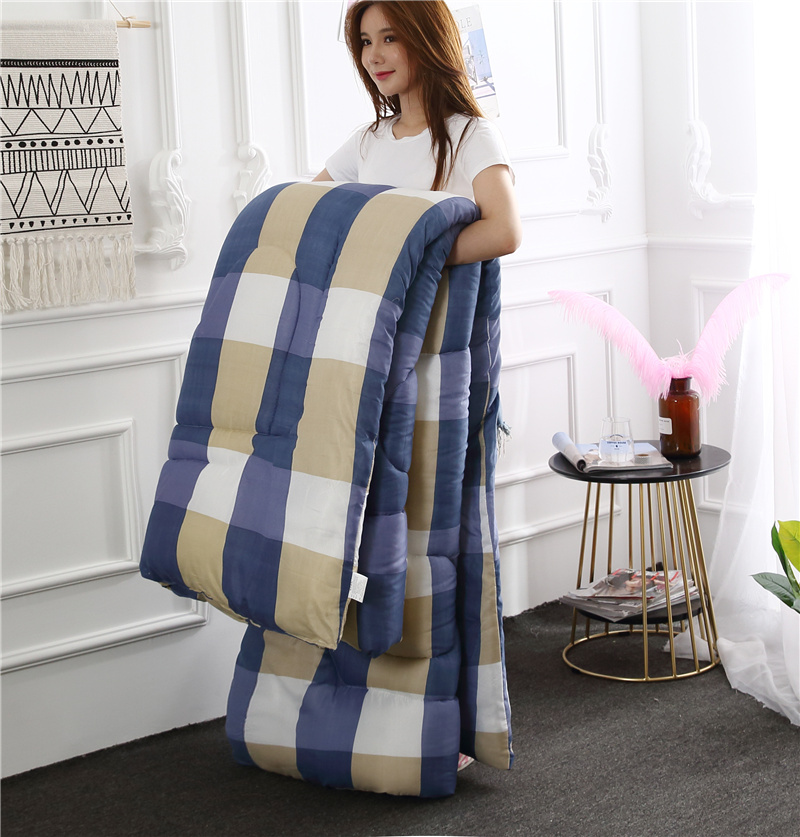 Special Treatment 3D Luxury Goose Down Duvet Quilted Quilt King Queen Full Size Comforter Winter Thick Blanket
