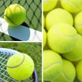 1 Pcs High Stretch Durable Tennis Practice Ball Competition Tennis Practice Professional Training Tennis Rubber F1J2