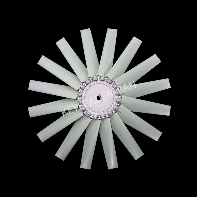 P5 N 16 2 Jpg