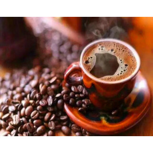 Robusta Green Coffee Beans