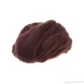 Fashion Wool Corriedale Needlefelting Top Roving Dyed Spinning Wet Felting Fiber O27 20 Dropshipping