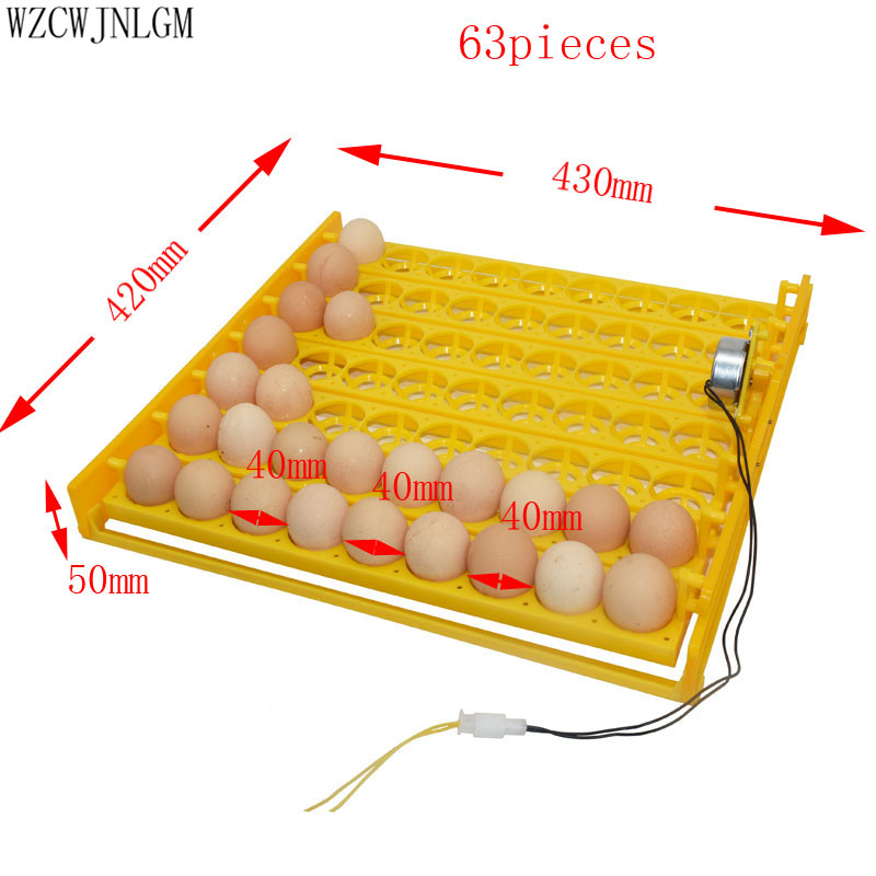 63 Birds Eggs Incubator Tools Quail Pigeon Parrot And Other Birds Automatically Turn The Eggs Incubator Equipment220v-110v 1pcs