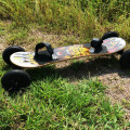 Brand New Down Hill Maple Deck Mountainboard Off Road Grass Boarding Skateboard Dirtboard Mountain Board Trucks Parts