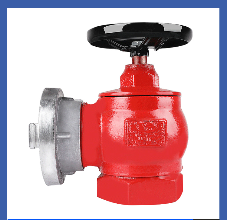 Indoor fire hydrant