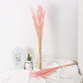 A Bunch Wheat Flower Decoration Natural Pampas Rabbit Tail Grass Dried Flowers for Wedding Party DIY Craft Scrapbook Bouquet