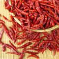 dried chilli chili pure natural bonsai sichun chilli pepper Free shipping