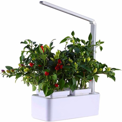 Hydroponics Garden flower pot with Led light Manufacturers and Hydroponics Garden flower pot with Led light Suppliers