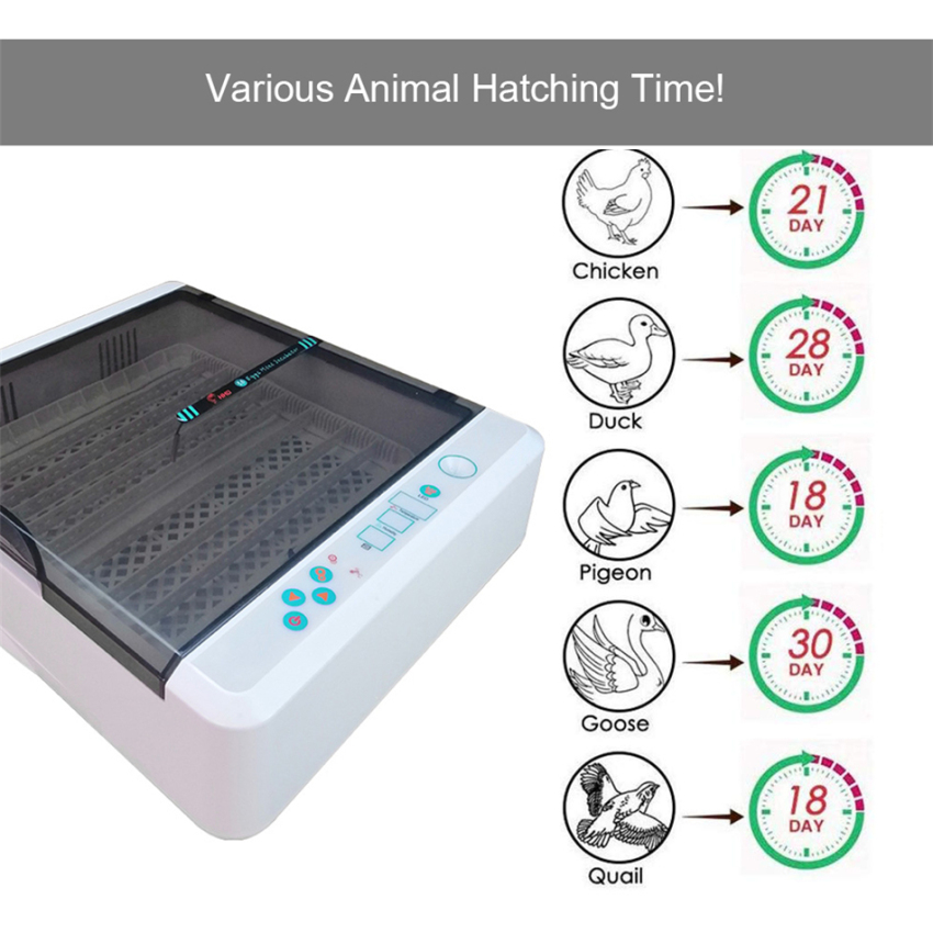 36 Automatic Egg Incubators Poultry Hatcher Digital LED Displays Egg Incubator Temperature Control Automatic Turning with Light