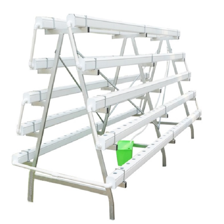 A frame hydroponic system 3