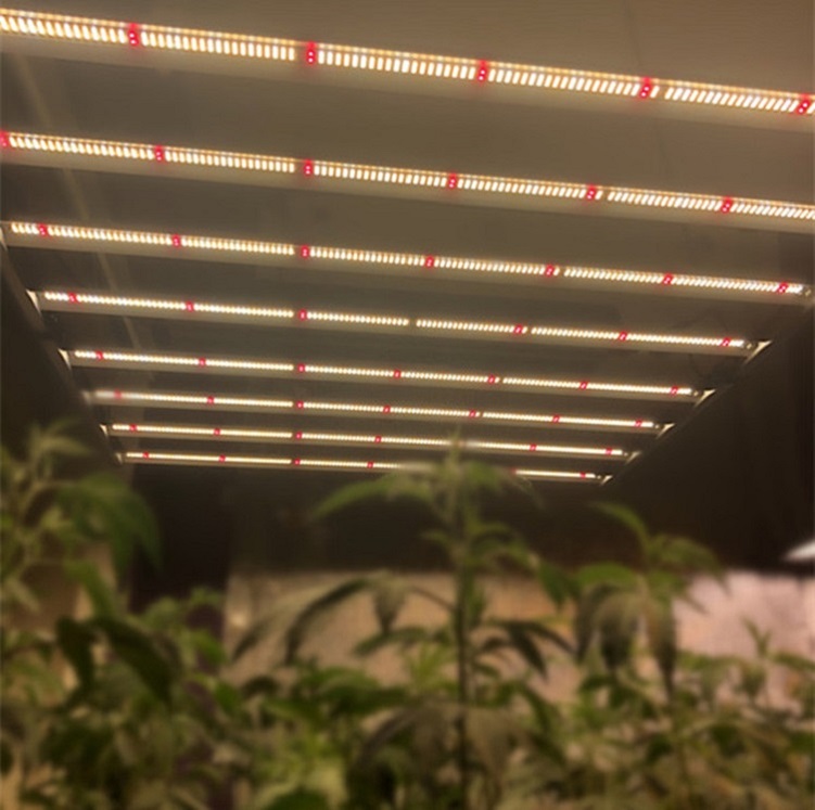 High Efficacy 640w Indoor Led Grow Lights Bar