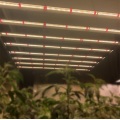 Hydroponic light 320W led tube grow bar