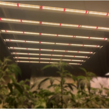 Hydroponic light 320W led tube grow bar