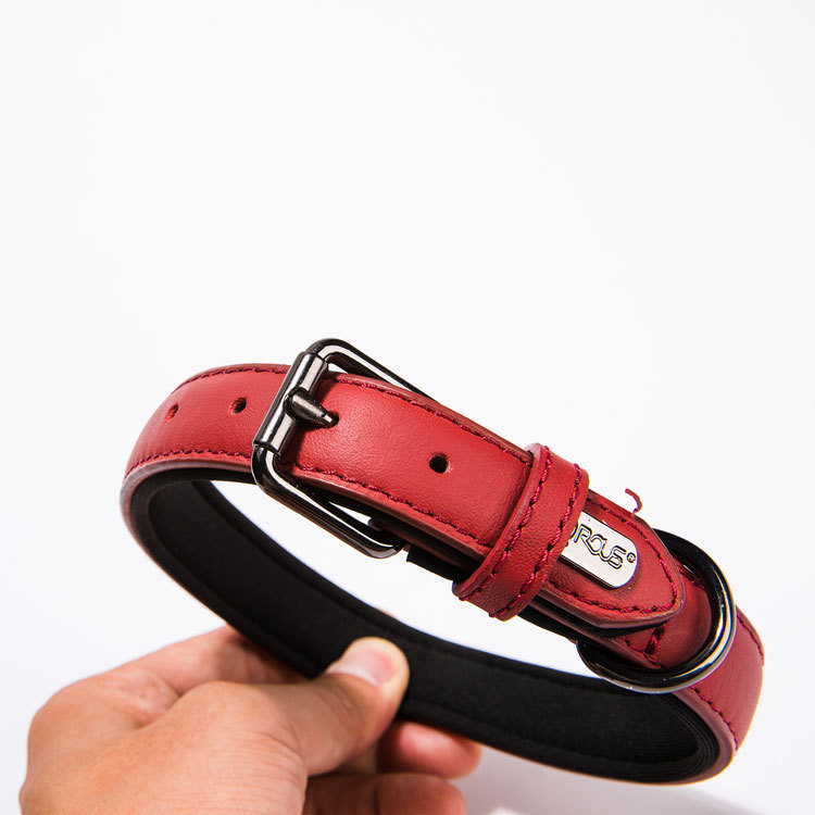 Leather Dog Collars