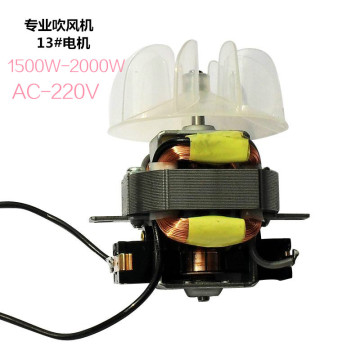 High-power hair dryer motor hair dryer AC motor with fan blade 13# motor hair dryer parts