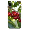 For Xiaomi Redmi Note 3 3S 4 4A 4X 5 5A 6 6A 7 7A K20 Plus Pro S2 Y2 Y3 Soft Quinn Phone Fresh Cherry Fruit